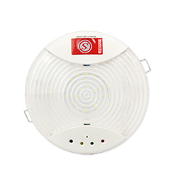 藝光消防應(yīng)急吸頂燈-1411